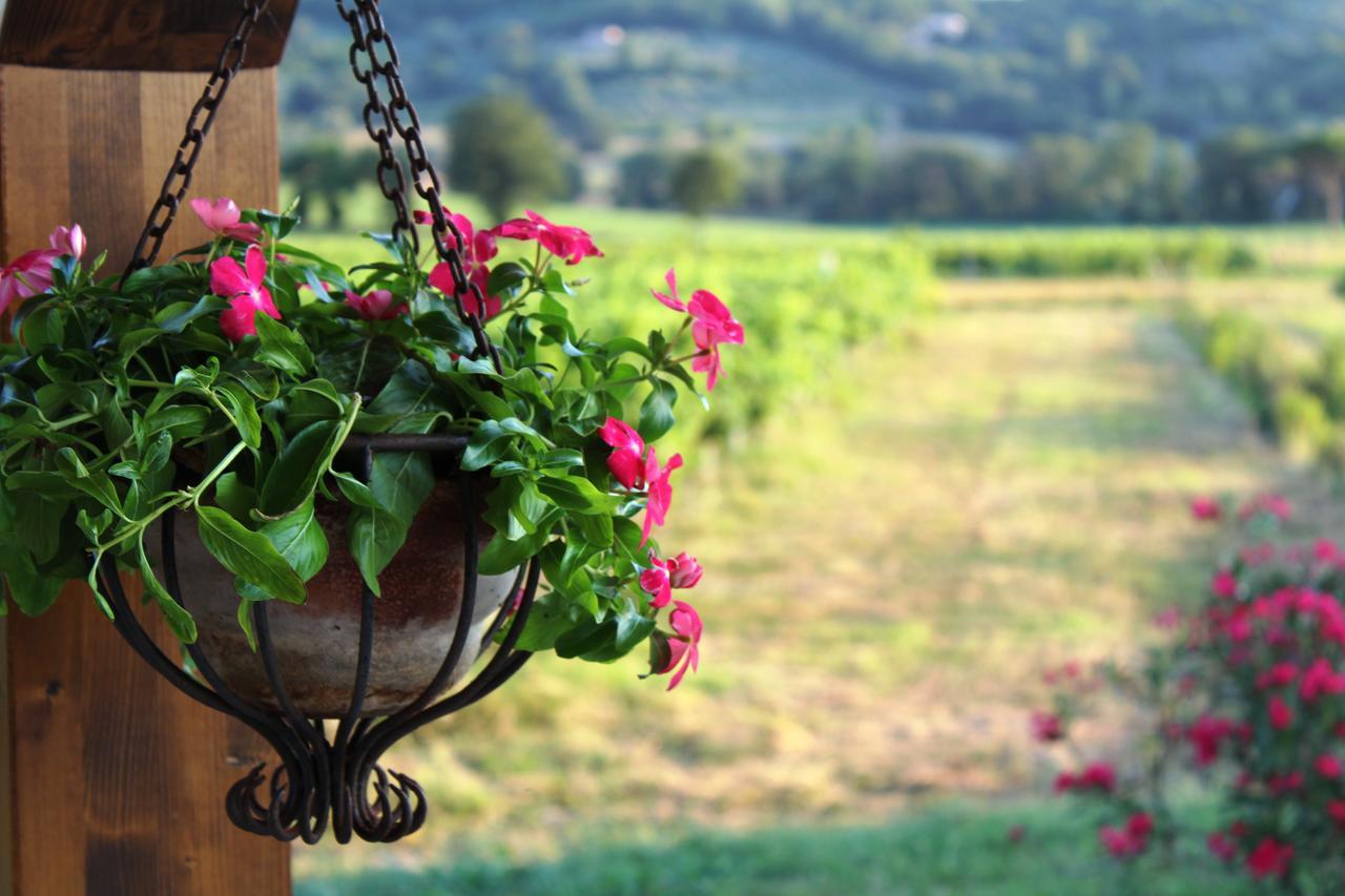 Le Case Bevagna Buitenkant foto