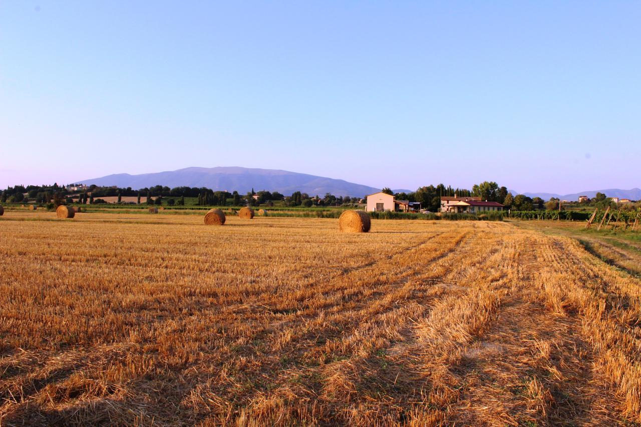 Le Case Bevagna Buitenkant foto