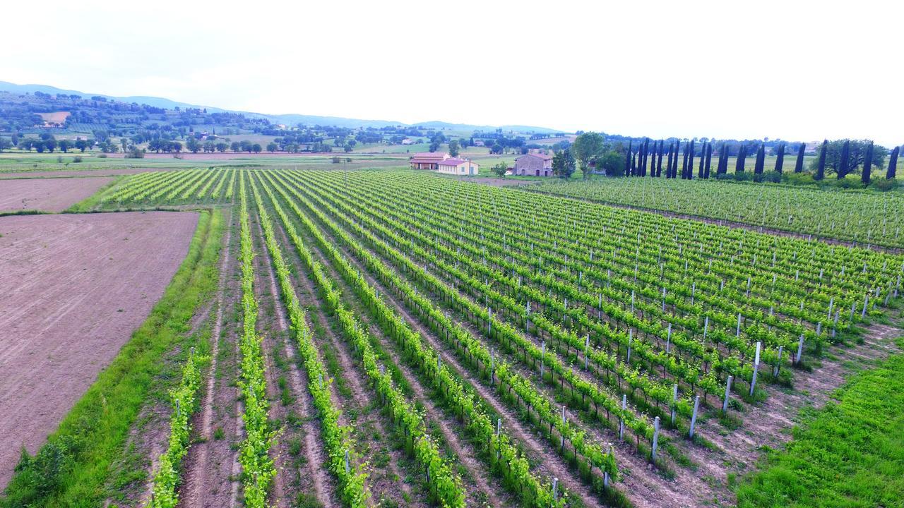 Le Case Bevagna Buitenkant foto